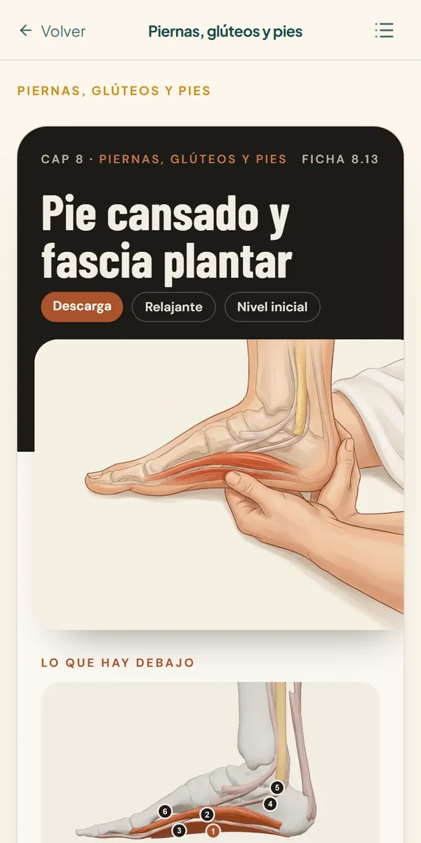 Ficha de pie cansado y fascia plantar