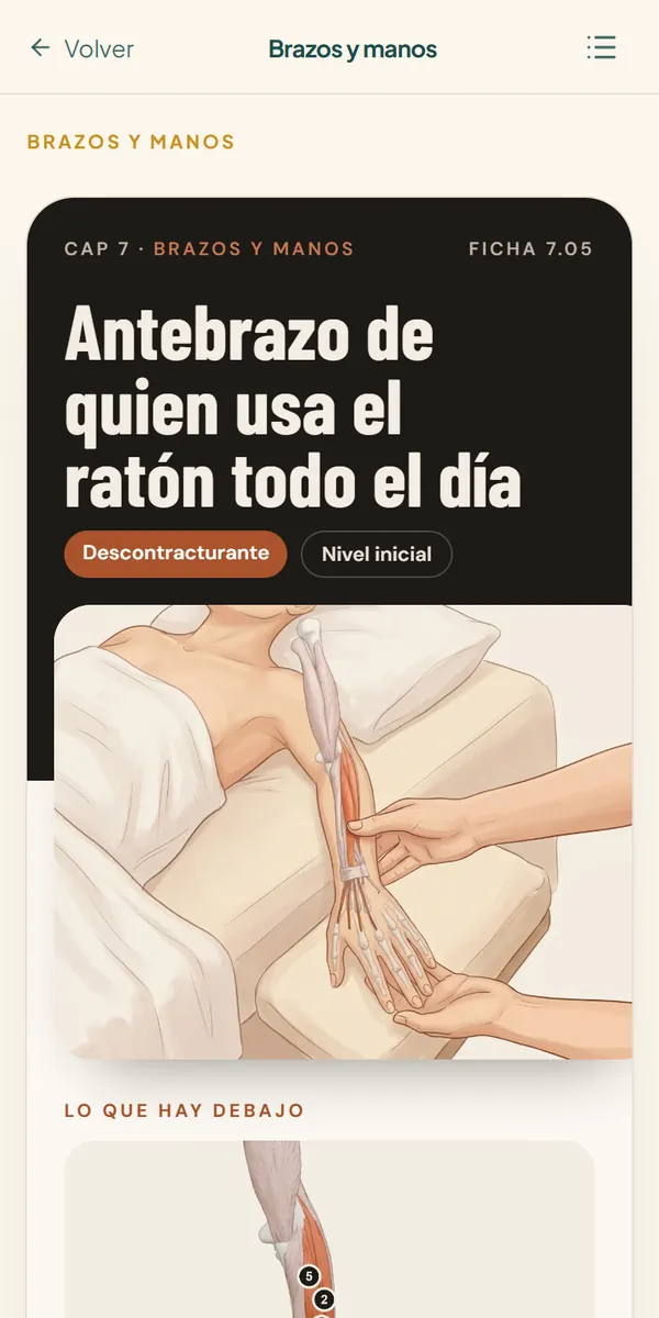 Ficha del antebrazo de quien usa el ratón